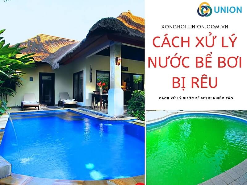 Cách xử lý nước hồ bơi bị rêu tảo (CHI TIẾT - HIỆU QUẢ)