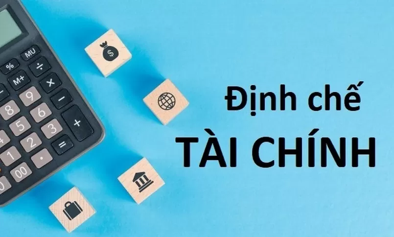 Định chế tài chính là gì? Tìm hiểu các loại định chế tài chính ở Việt Nam