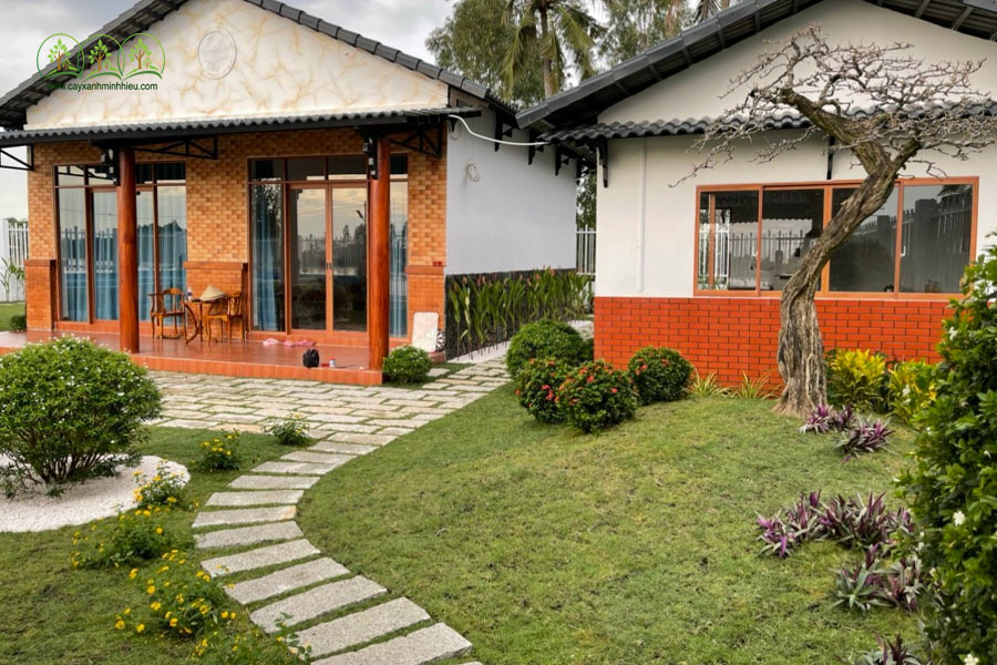 Dịch vụ thiết kế cảnh quan Bình Dương đẹp trọn gói giá rẻ