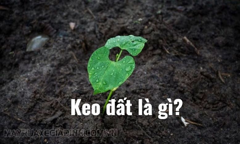 Keo đất là gì? keo đất mang điện tích gì? Cấu tạo, đặc điểm chi tiết
