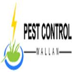 pestcontrol wallan