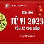 tuvi2023phongthuyso