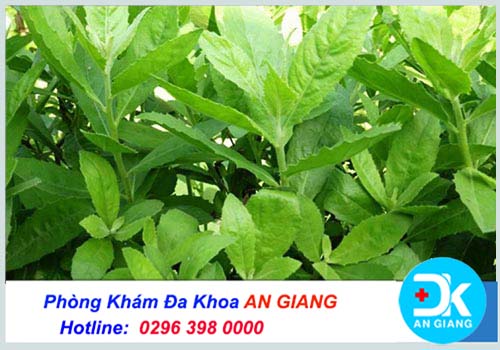 Cách chữa bệnh trĩ bằng xông hơi hậu môn tại nhà - Phòng Khám Đa Khoa An Giang