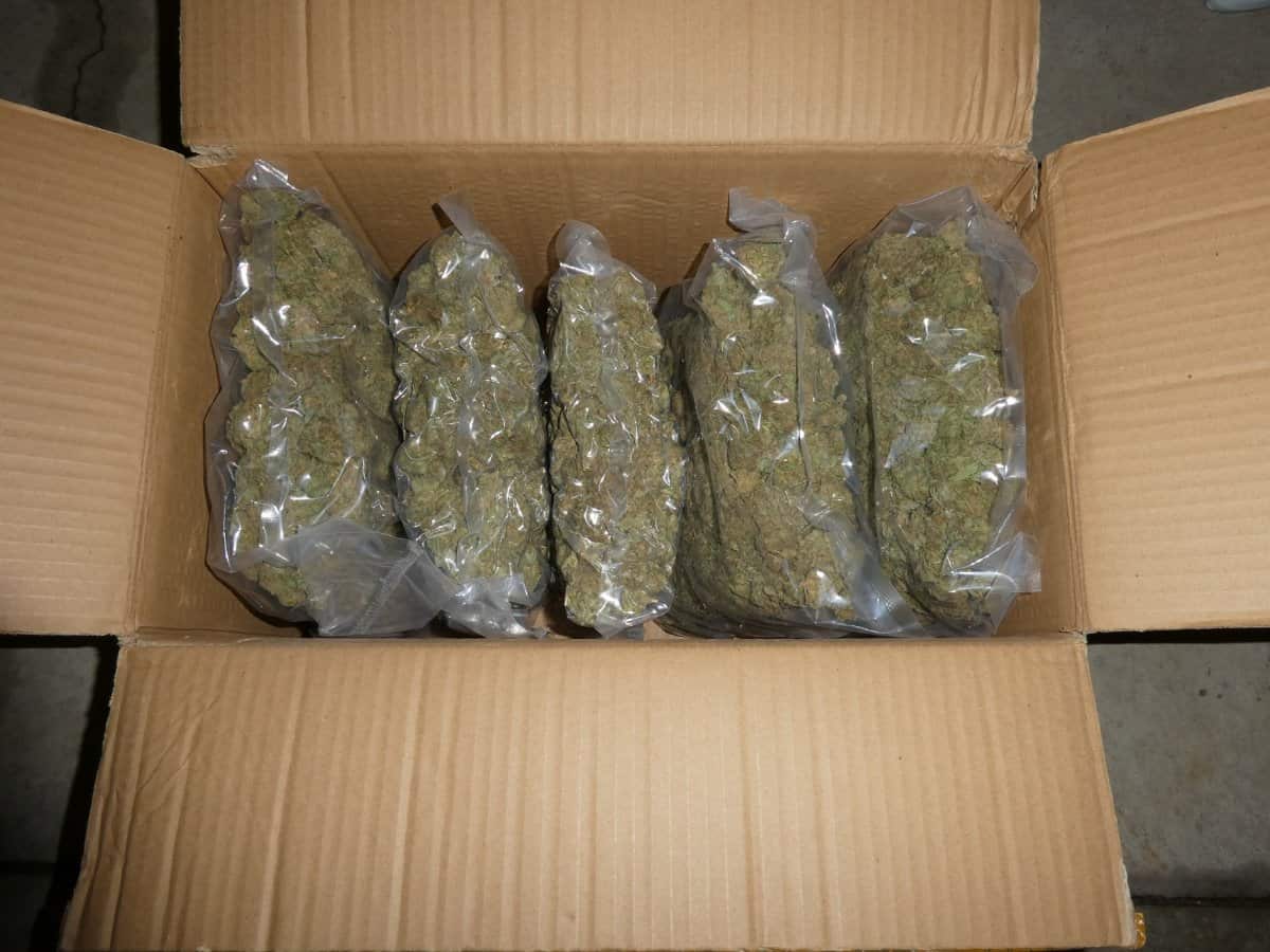 Pounds Of Weed For Sale - Weed Me Good