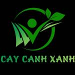 Cây Cảnh Xanh