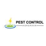 Pest Control Ashgrove
