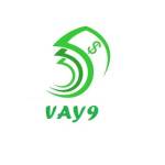 VAY9 company