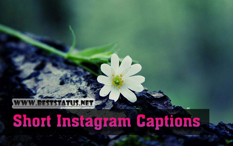 Best Short Captions for Instagram - Short Instagram Captions 2022