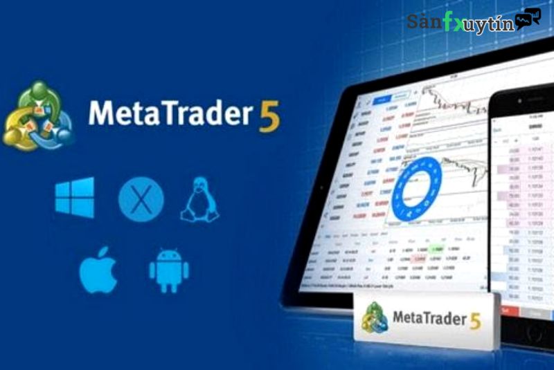 Sự Thật Về Nền Tảng Giao Dịch Metatrader 5 Lừa Đảo