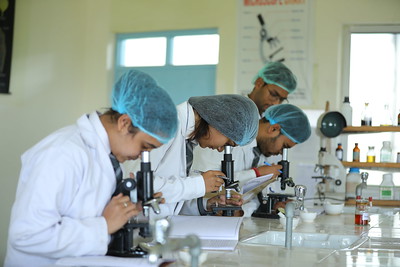 Pharmacy college in Dehradun Uttarakhand | DBUU Dehradun