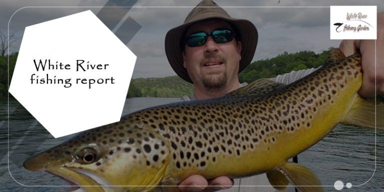 How is the White River Fishing Report Created?              | White River's Site