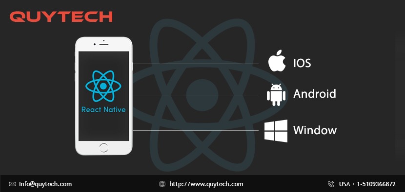How Do You Hire The Right React Native Developer - Quytech Blog