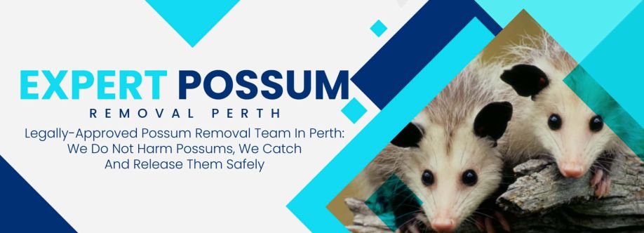 Humane Possum Removal Perth