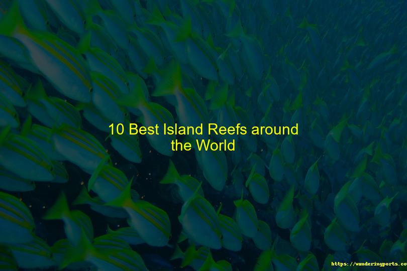 10 Best Island Reefs around the World - Wanderingports