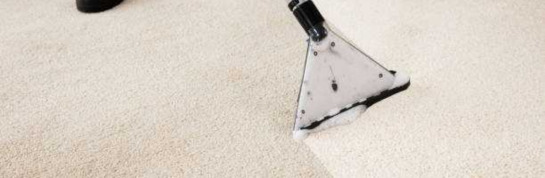 Carpet Cleaning Paralowie