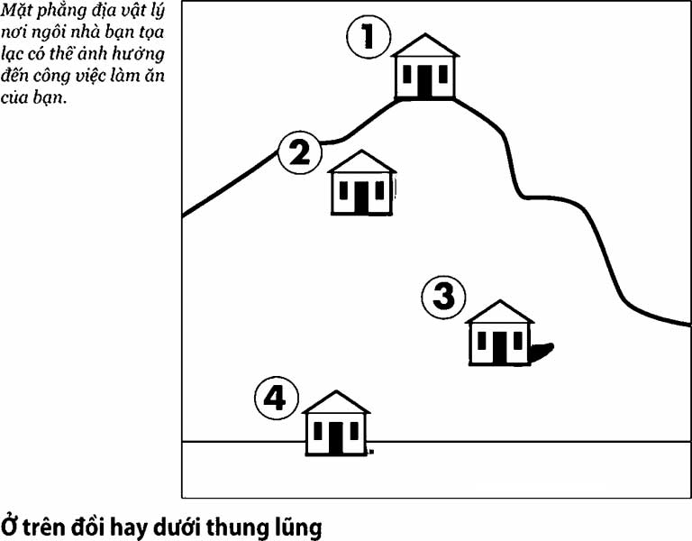 Tìm hiểu ngay cách xem đất tốt xấu chi tiết nhất