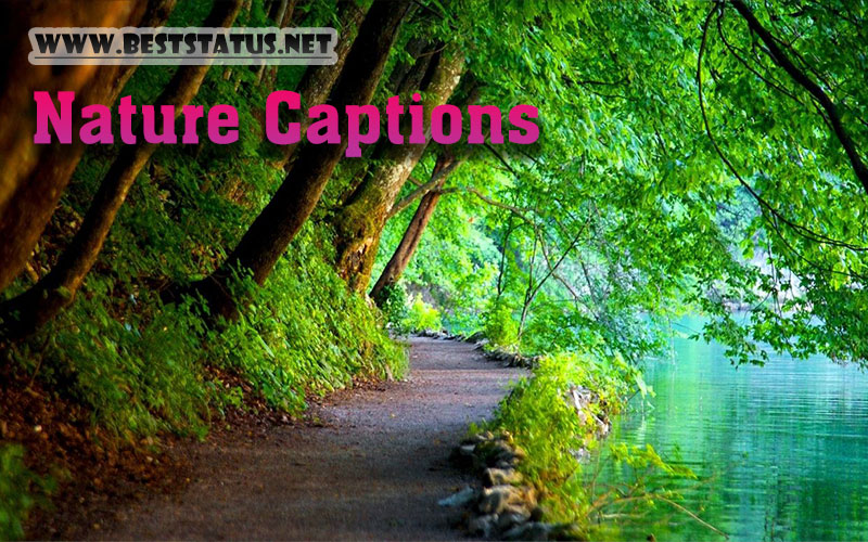 Best Nature Captions for Instagram - Nature Instagram Captions 2022