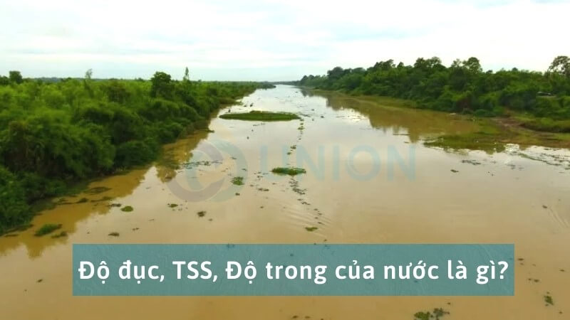 Độ ****c, TSS và độ trong của nước là gì? [CHI TIẾT]
