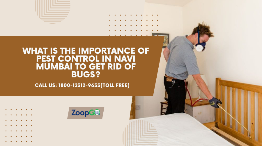 What is the importance of Pest Control in Navi Mumbai to get rid of bugs? - Blogs Binder