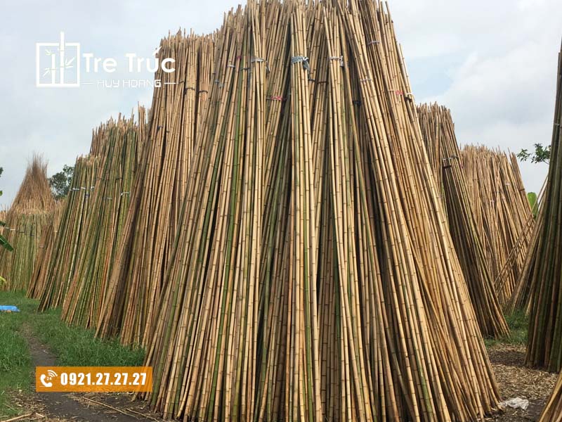 Bán cây trúc khô trang trí giá rẻ chất lượng TPHCM - Tre Trúc Huy Hoàng