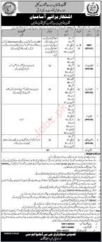 Job Advertisement online