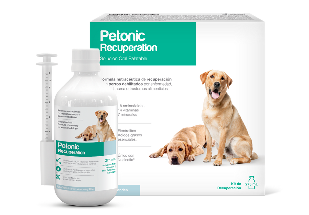 In the United Arab Emirates, there is a medical solution for dogs