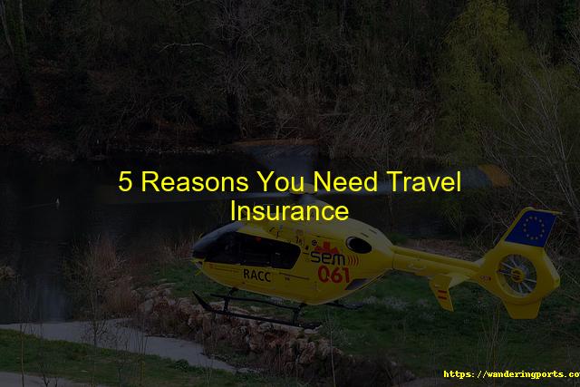 5 Reasons You Need Travel Insurance - Wanderingports
