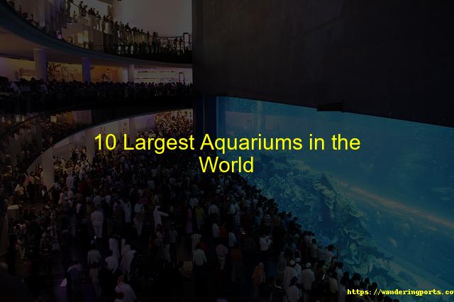 Ten Largest Aquariums on the Planet - Wanderingports