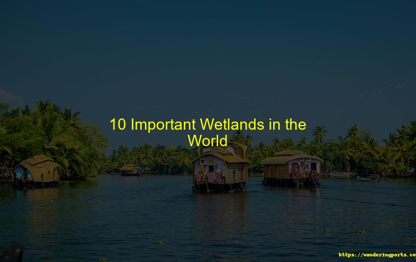 10 Important Wetlands in the World - Wanderingports