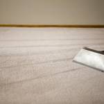 Top Carpet Cleaning Adelaide