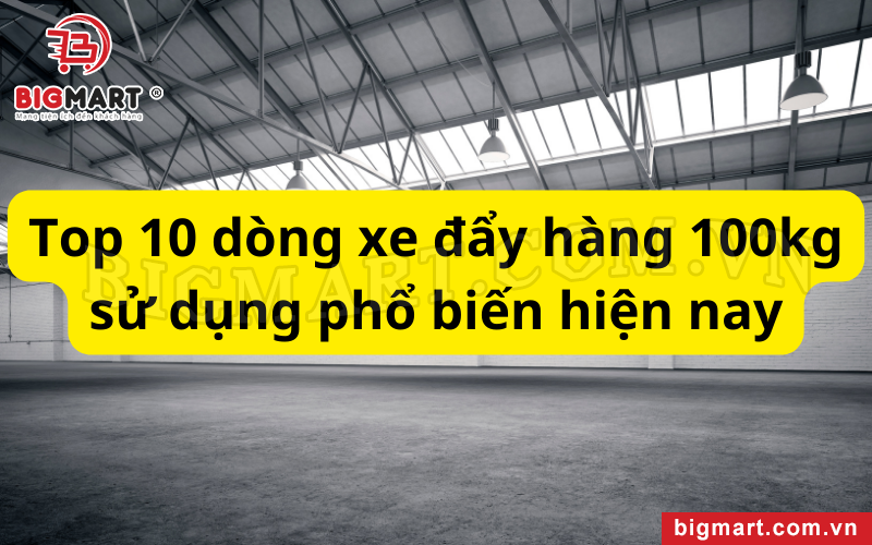 Top 10 các dòng xe đẩy hàng 100kg thông dụng