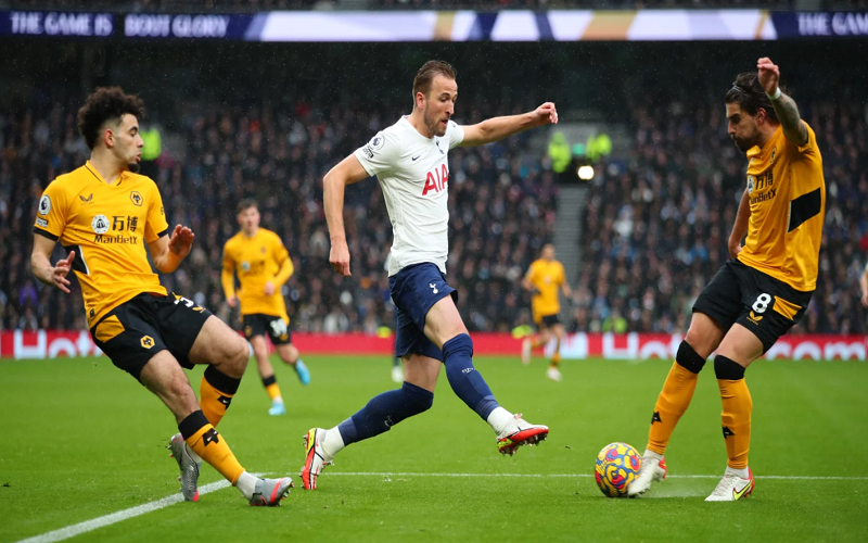 Nhận định, soi kèo Tottenham vs Wolves 18h30 ngày 20/08/2022