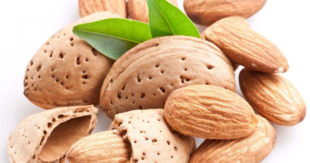 Why Should You Include Almond Nuts In Your Daily Diet?