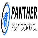 Panther Rodent Control Brisbane
