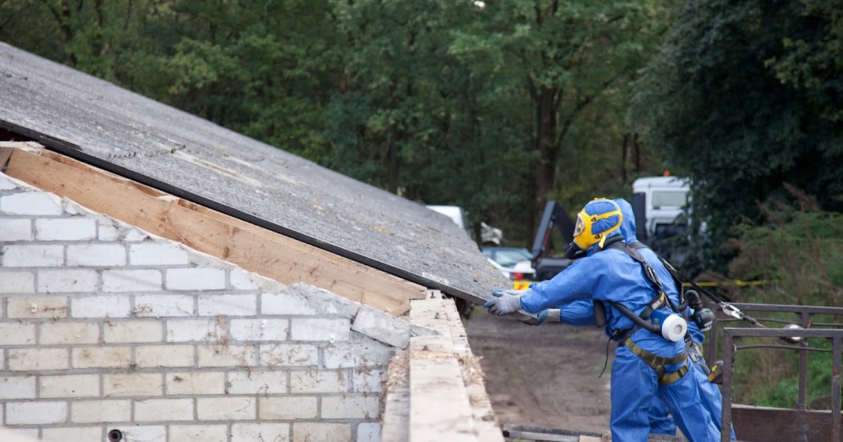 Why should you opt for roof cleaning?