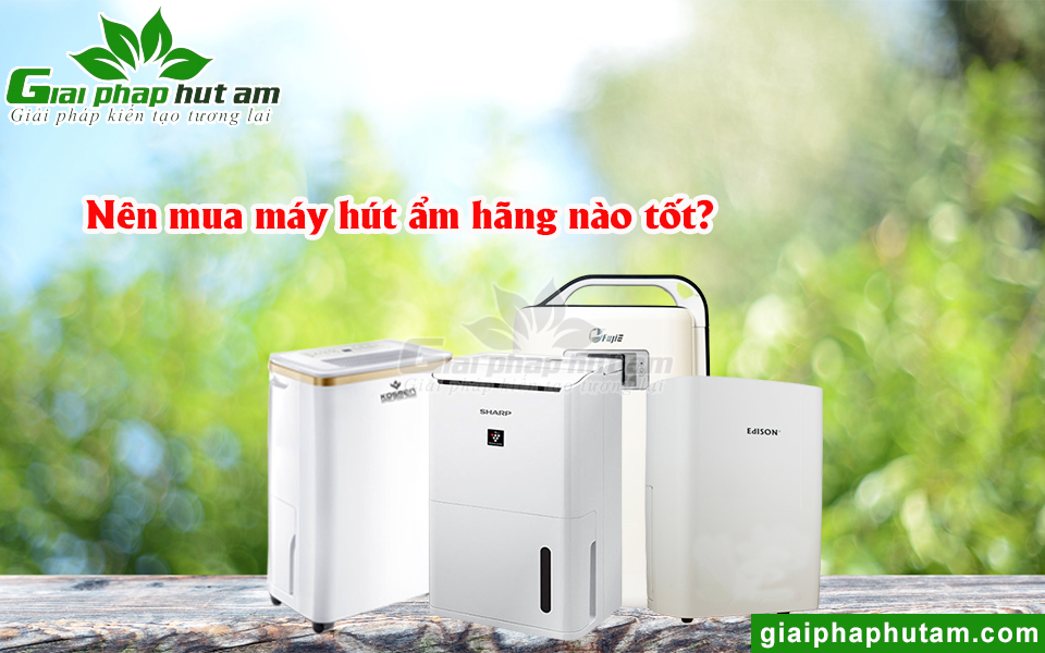 Nên Mua Máy Hút Ẩm Gia Đình Hãng Nào Tốt? Thương Hiệu Kosmen, FujiE , Sharp hay Harison?
