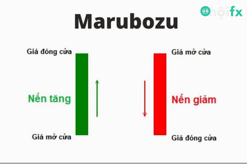 Mô Hình Nến Marubozu Là Gì? Cách Nhận Diện Mô Hình Nến Marubozu