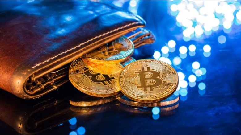Cryptocurrency Wallet Development Guide For Beginners In The Blockchain Environment - The Mail Online