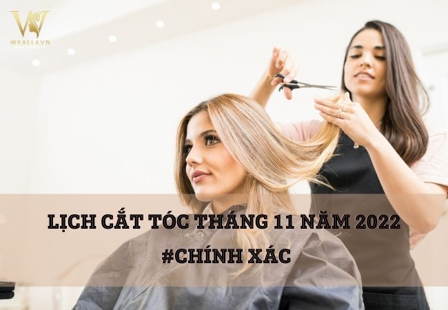 Lịch cắt tóc tháng 11/2022 - Luận giải theo chuyên gia #Chính xác