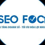 Dịch vụ seo chuyên nghiệp Foci
