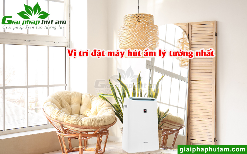 Vị Trí Nên Đặt Máy Hút Ẩm Ở Đâu Lý Tưởng Nhất?