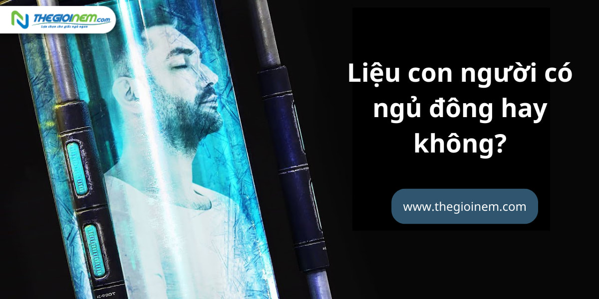 Liệu con người có ngủ đông hay không? - Nệm Lò Xo