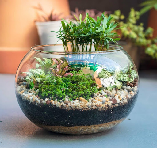 Tiểu cảnh terrarium - bí quyết trang trí văn phòng hợp phong thủy