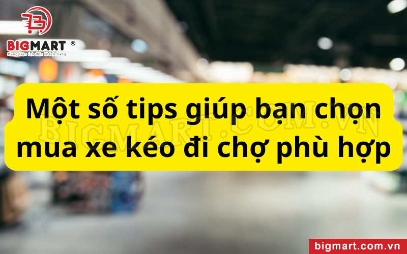 Mách bạn một số mẹo nhỏ trong việc chọn mua xe kéo đi chợ