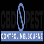 CBD Spider Control Melbourne