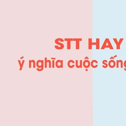 Stt Hay Vài Thứ Hay Ho (u/stthay) - Reddit