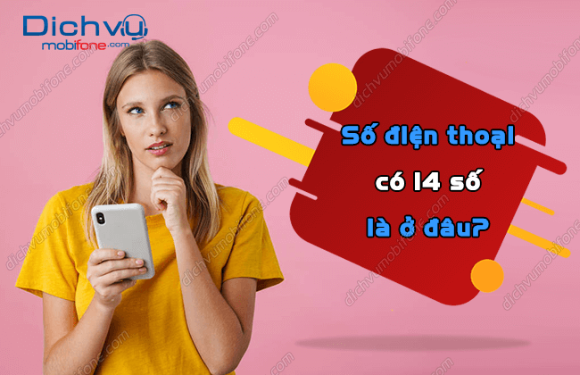 Tìm hiểu: Số điện thoại có 14 số là ở đâu? – Dịch vụ Mobifone Portal