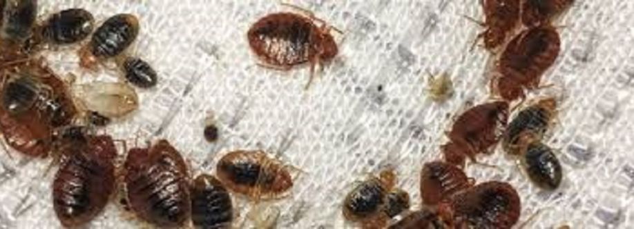 Peters Bed Bugs Control Melbourne