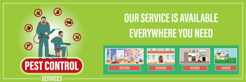 Pest Control Services In Gurgaon - Top 5 list of 2022 - 31st.in