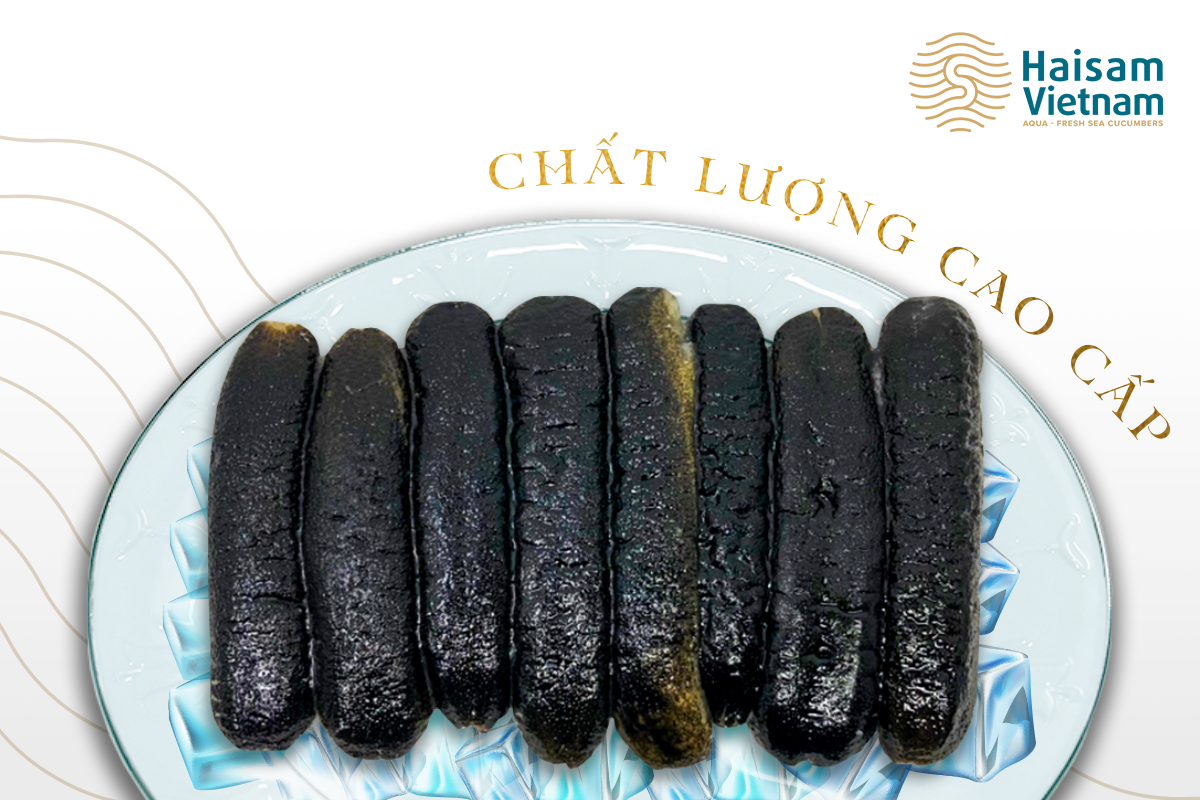 HẢI SÂM CÁT ĐÔNG LẠNH - VSCC
